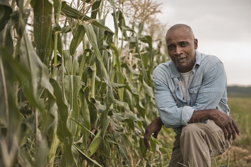 African American farmer tending crops