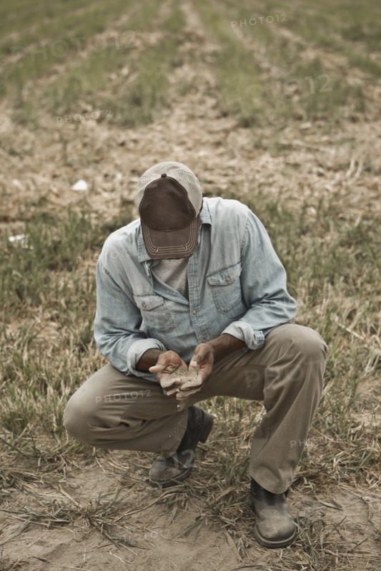 African American farmer checking dirt in field