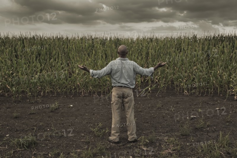 African American farmer standing in field with arms outstretched