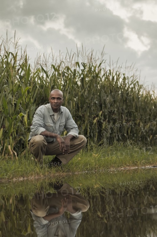 African American farmer squatting near water and crops