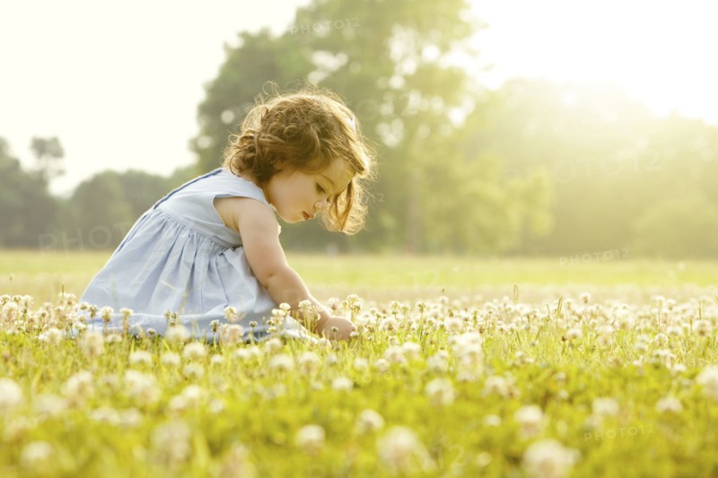 Caucasian girl picking flowers in field