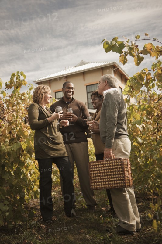 Friends drinking wine in vineyard