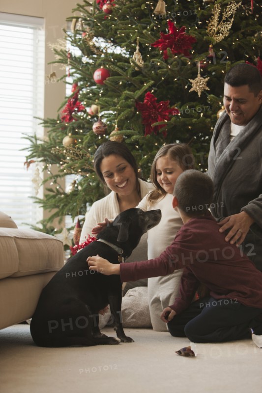 Family petting dog in living room on Christmas morning