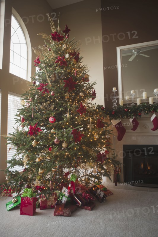 Christmas tree and decorations in living room