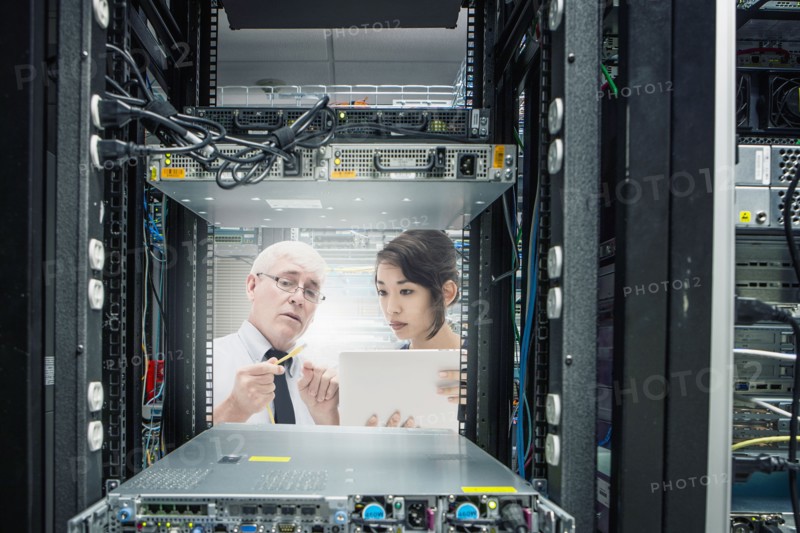 Business people working in server room