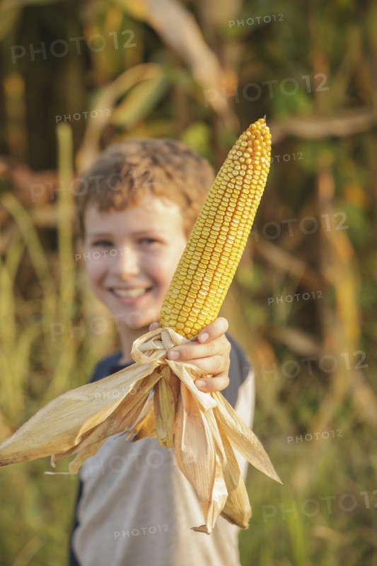 Caucasian boy holding ear of corn on farm