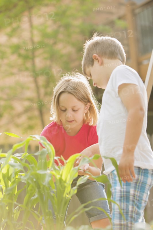 Children gardening in backyard