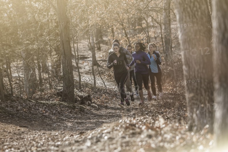 Runners jogging on dirt path in forest