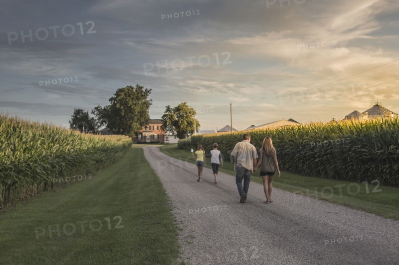 Caucasian family walking on dirt path by corn field