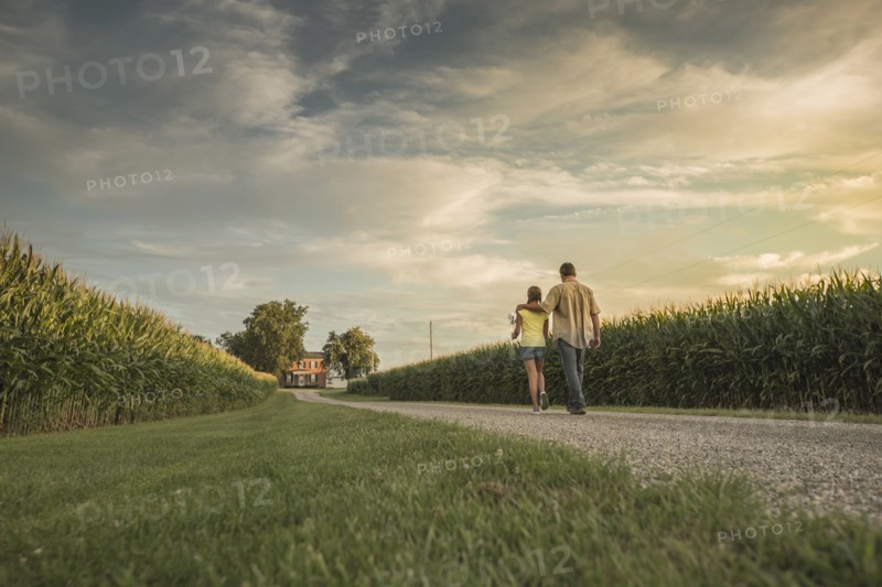 Caucasian father and daughter walking on dirt path by corn field