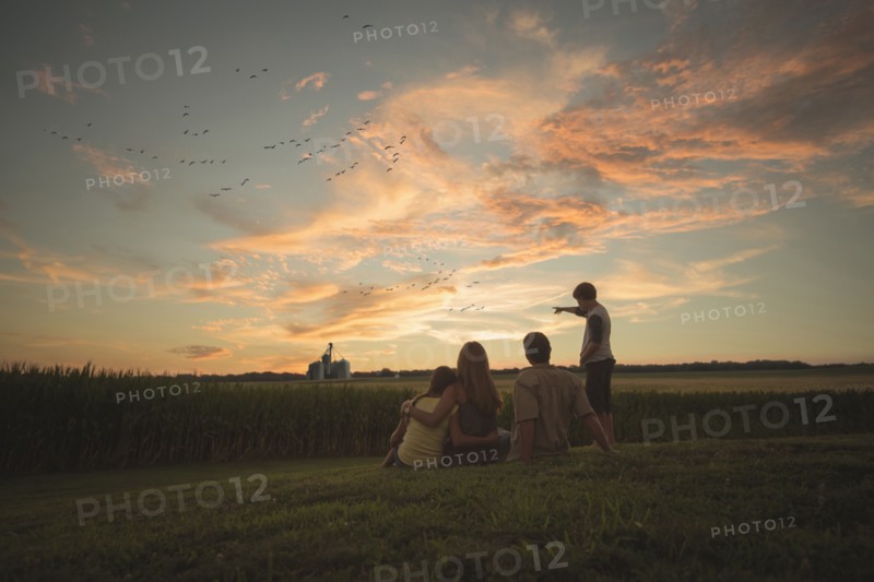 Caucasian family admiring corn fields at sunset