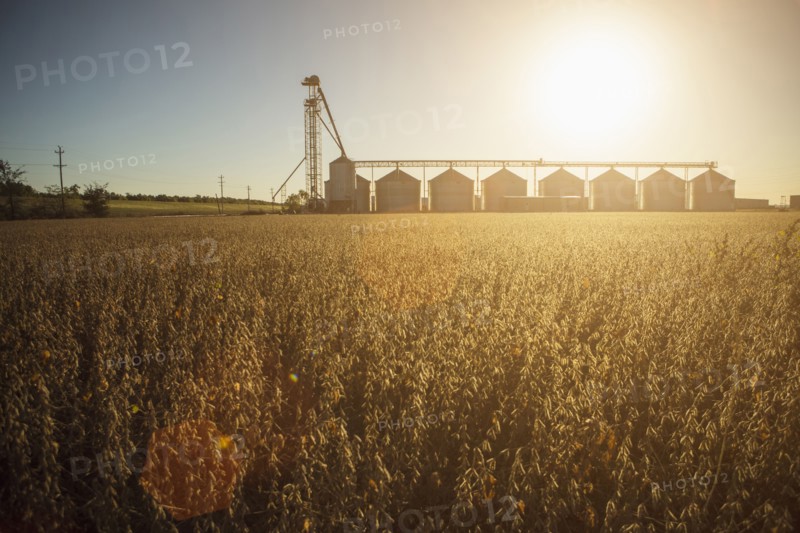 Silos and crops in farm field