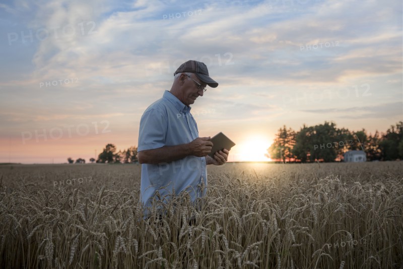 Caucasian man using digital tablet in field of wheat
