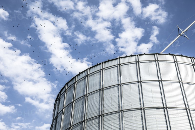 Birds flying near silo