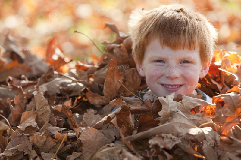 Caucasian boy hiding in autumn leaves