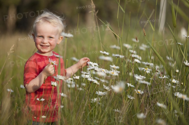 Caucasian boy admiring flowers in tall grass