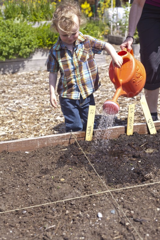 Caucasian mother and son watering plants in garden