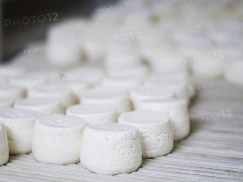 Wheels of artisanal cheeses