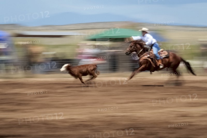 Cowgirl chasing calf in rodeo
