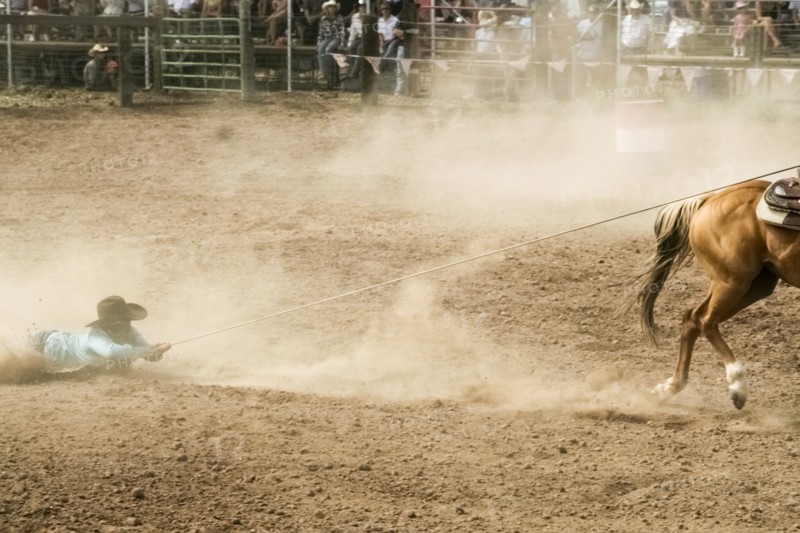 Horse dragging cowboy by rope in rodeo