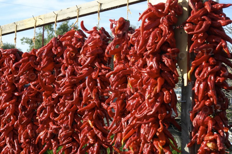 Dried red peppers hanging outdoors