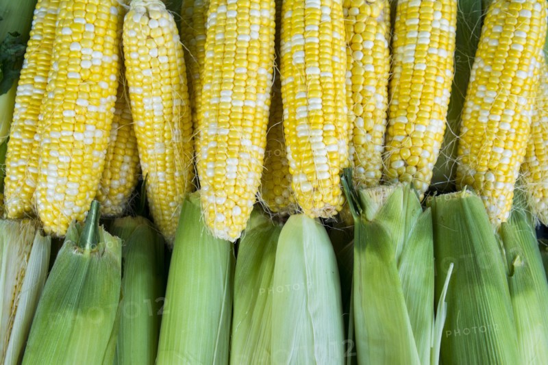 Fresh corn at market