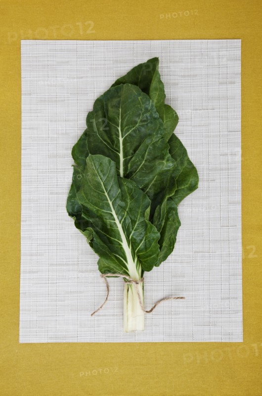 Green leaves on paper