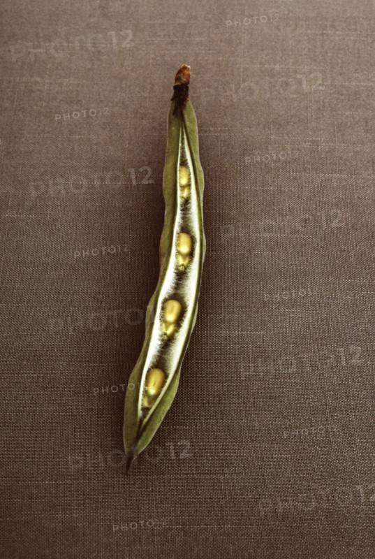Green peas in open pod