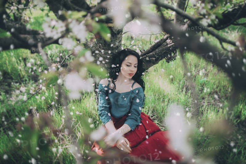 Petals falling from flowering tree on Caucasian woman