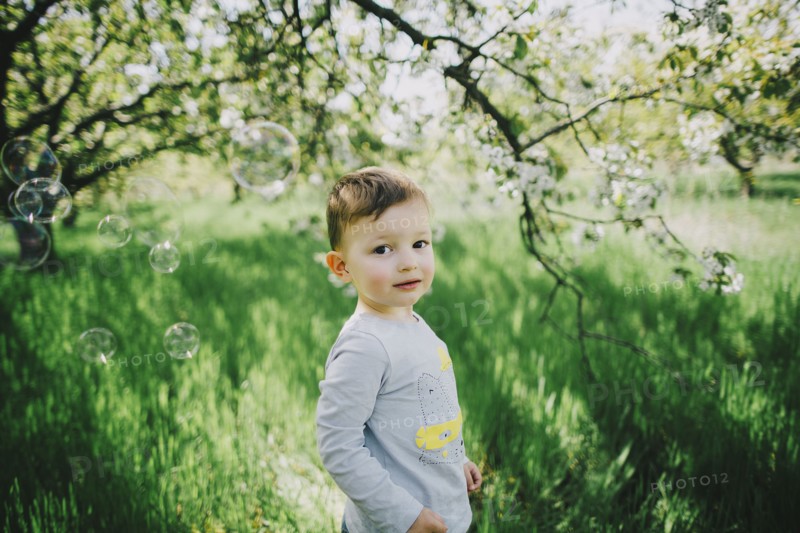 Bubbles floating near Caucasian boy in field near tree
