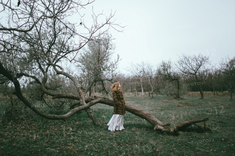 Caucasian woman wearing fur coat near fallen tree