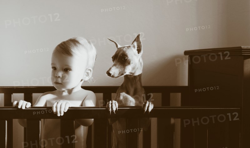 Caucasian boy standing in crib with puppy