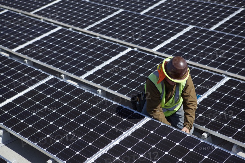 Worker examining solar panels outdoors