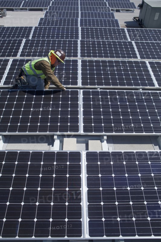 Worker examining solar panels outdoors
