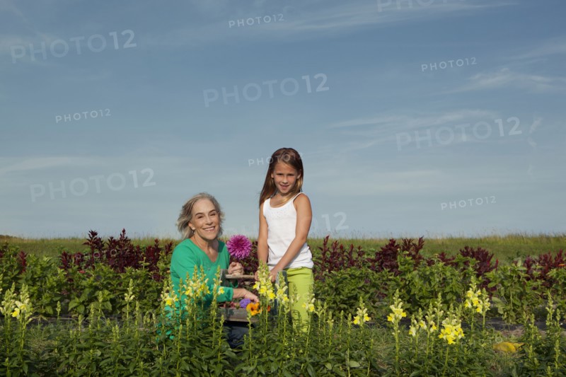 Caucasian grandmother and granddaughter picking flowers on farm