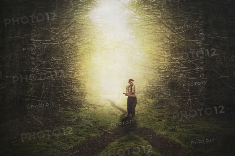 Caucasian man at fork in forest path