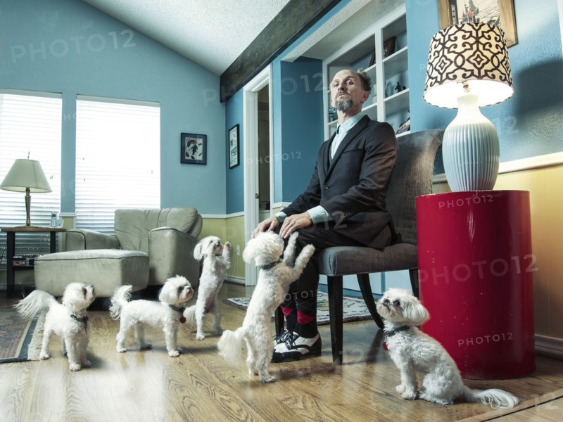 Caucasian businessman ignoring begging dogs