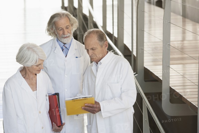 Senior Caucasian scientists talking in office
