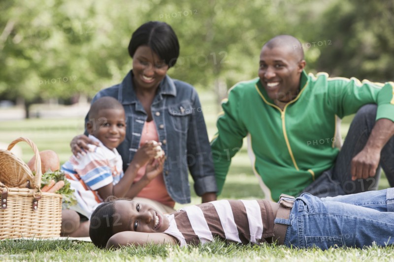 African American family having picnic in park