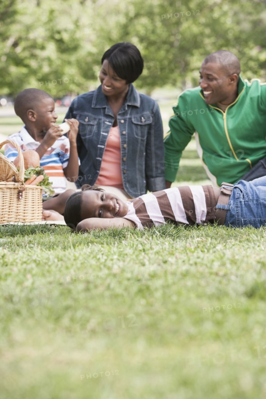African American family having picnic in park