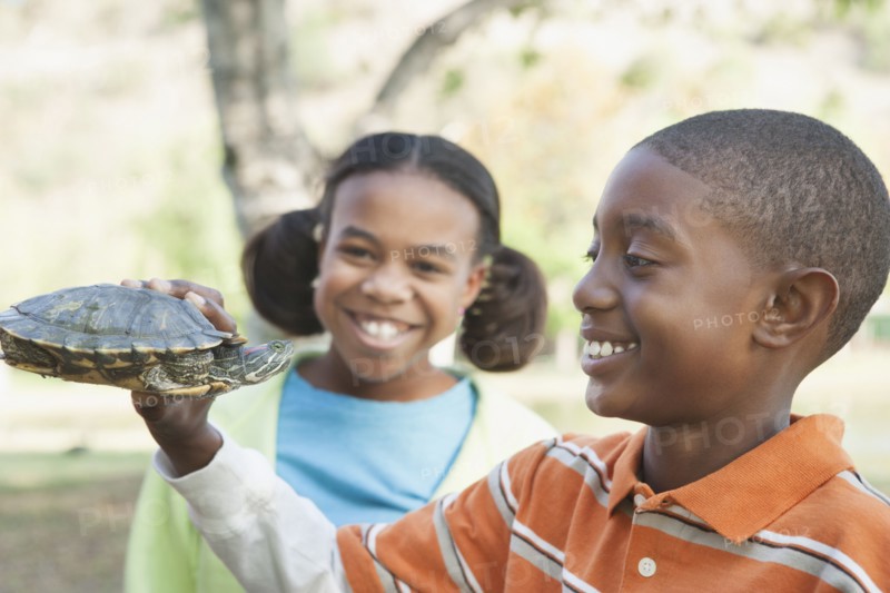 Children examining turtle in park