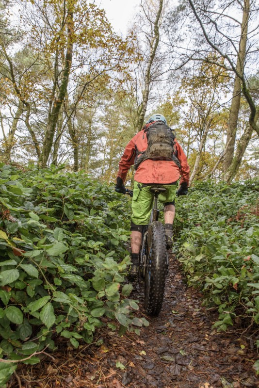 Caucasian man riding bicycle in forest