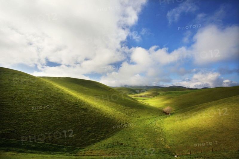 Rolling green hills