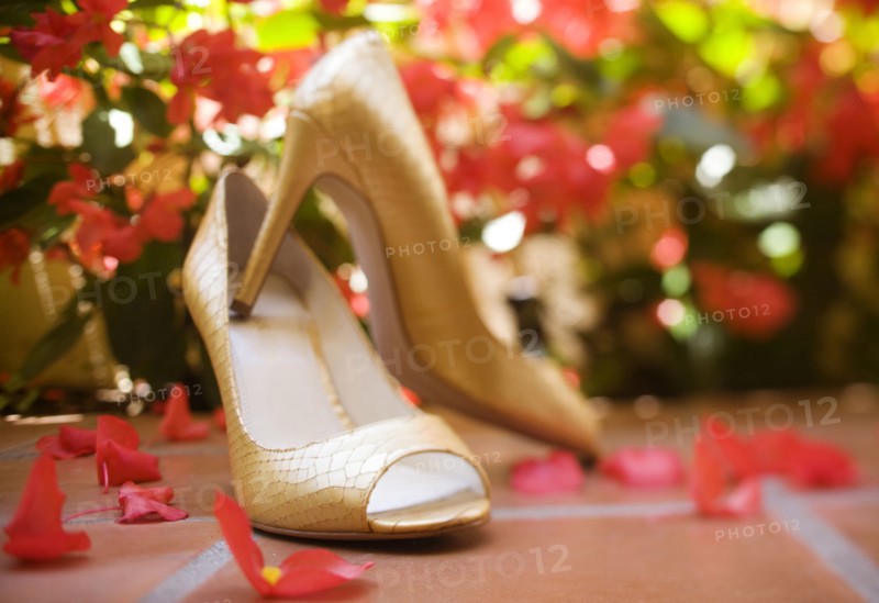 Close up of elegant high heeled shoes
