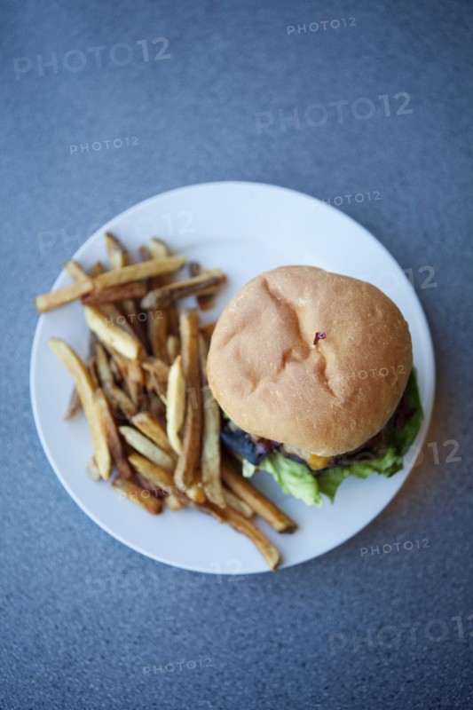 Cheeseburger and french fries