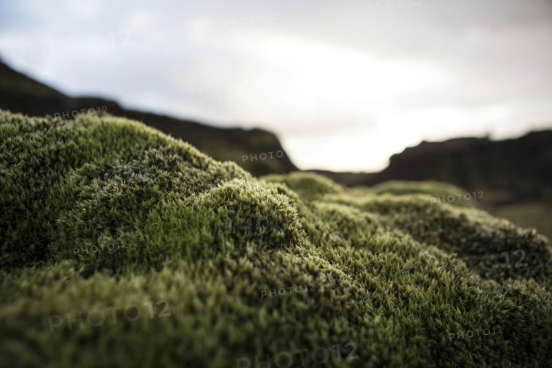 Close up of mossy rock in remote landscape