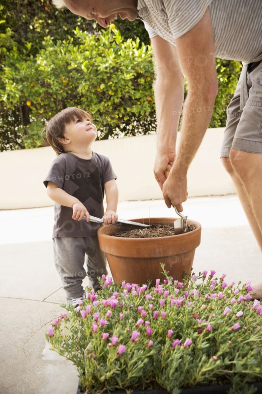 Father and son preparing potted plant