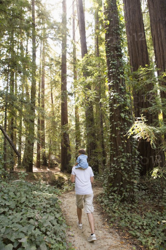 Father carrying son on shoulders on forest path