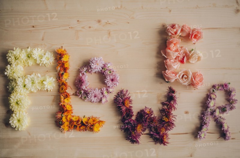 Flower spelled with flowers