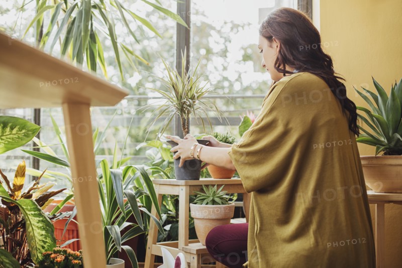 Caucasian woman holding potted plant